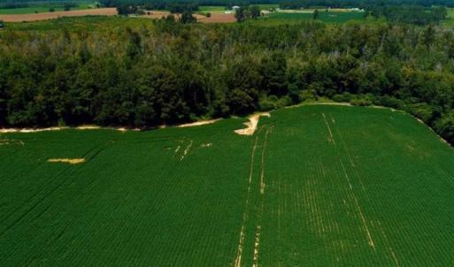 Photo of UNDER CONTRACT!!  35 Acres of Farm and Hunting Land For Sale in Duplin County NC!