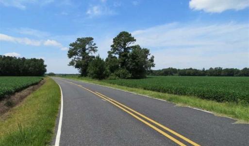 Photo of UNDER CONTRACT!!  35 Acres of Farm and Hunting Land For Sale in Duplin County NC!