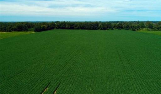 Photo of UNDER CONTRACT!!  35 Acres of Farm and Hunting Land For Sale in Duplin County NC!