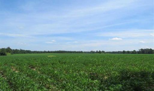 Photo of UNDER CONTRACT!!  35 Acres of Farm and Hunting Land For Sale in Duplin County NC!