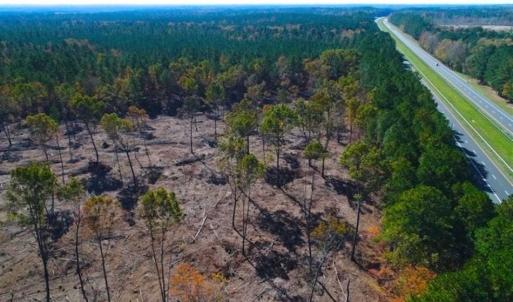 Photo of 23.23 Acres of Residential Land For Sale in Lee County NC!