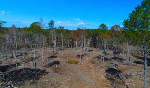 Photo of 23.23 Acres of Residential Land For Sale in Lee County NC!