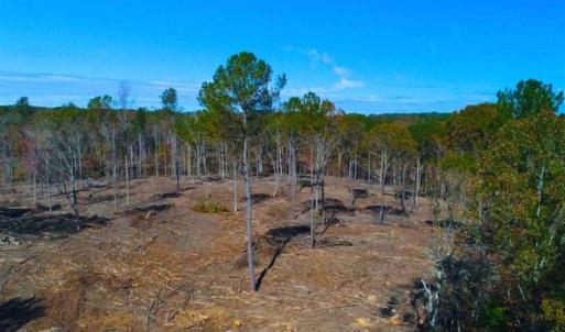 Photo of 23.23 Acres of Residential Land For Sale in Lee County NC!