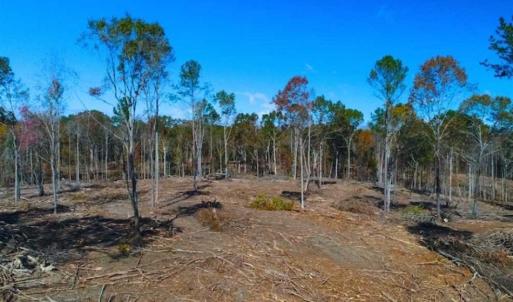 Photo of 23.23 Acres of Residential Land For Sale in Lee County NC!