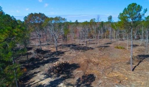 Photo of 23.23 Acres of Residential Land For Sale in Lee County NC!