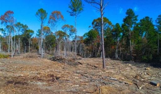 Photo of 23.23 Acres of Residential Land For Sale in Lee County NC!