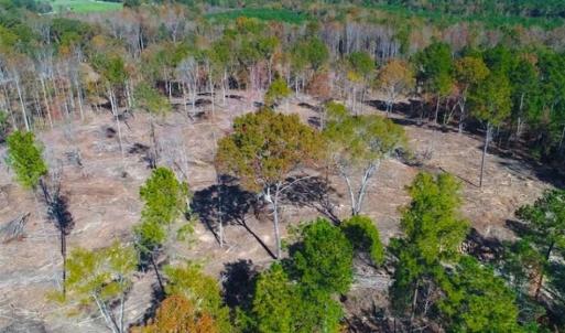 Photo of 23.23 Acres of Residential Land For Sale in Lee County NC!