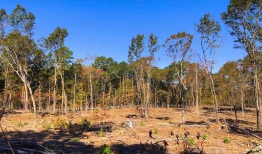 Photo of 23.23 Acres of Residential Land For Sale in Lee County NC!