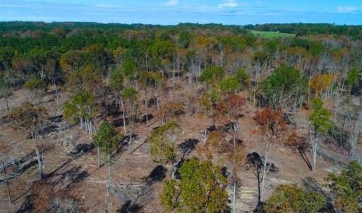 Photo of 23.23 Acres of Residential Land For Sale in Lee County NC!