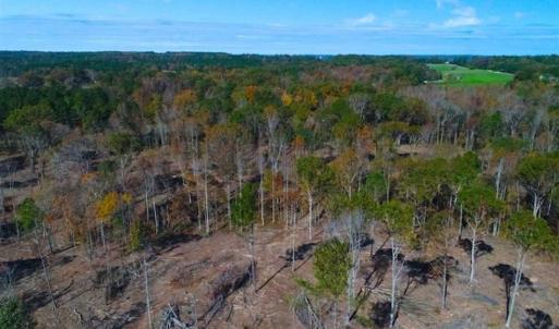 Photo of 23.23 Acres of Residential Land For Sale in Lee County NC!
