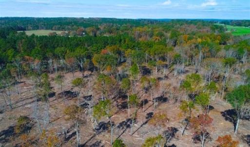 Photo of 23.23 Acres of Residential Land For Sale in Lee County NC!