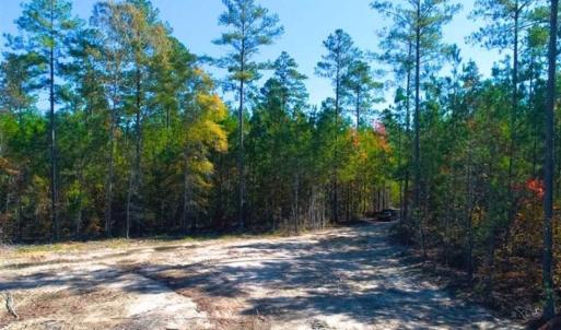 Photo of 23.23 Acres of Residential Land For Sale in Lee County NC!