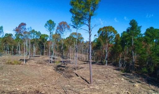 Photo of 23.23 Acres of Residential Land For Sale in Lee County NC!