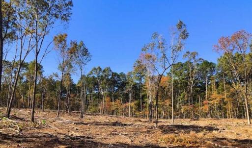 Photo of 23.23 Acres of Residential Land For Sale in Lee County NC!