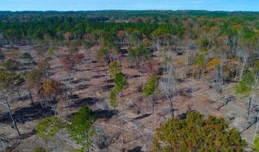 Photo of 23.23 Acres of Residential Land For Sale in Lee County NC!