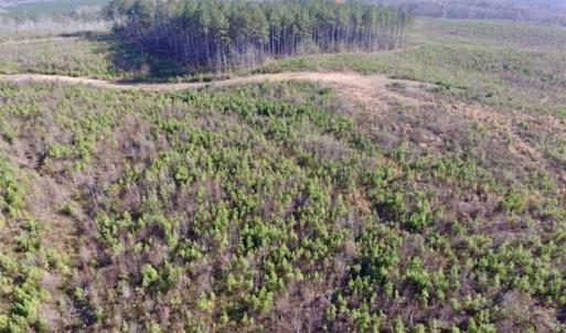 Photo of 114 acres of Recreational and Hunting Land For Sale in Lunenburg County VA!