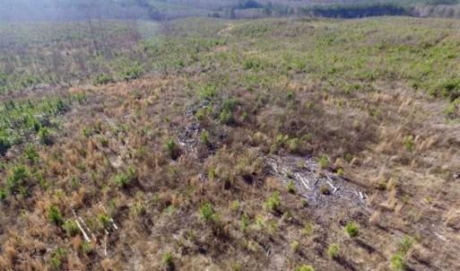 Photo of 114 acres of Recreational and Hunting Land For Sale in Lunenburg County VA!