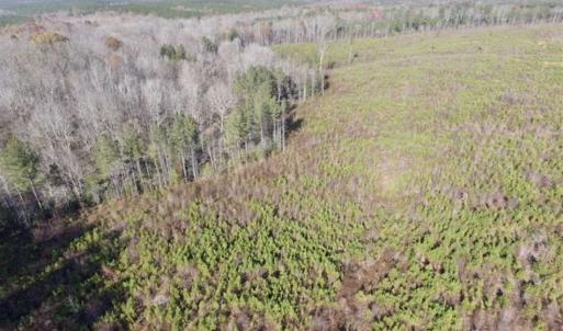 Photo of 114 acres of Recreational and Hunting Land For Sale in Lunenburg County VA!