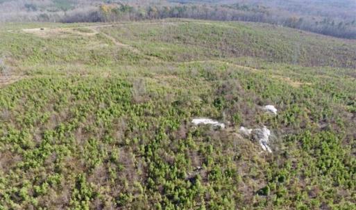 Photo of 114 acres of Recreational and Hunting Land For Sale in Lunenburg County VA!