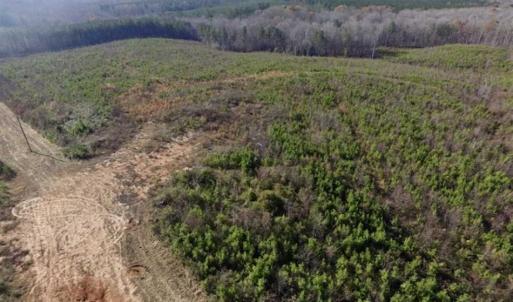 Photo of 114 acres of Recreational and Hunting Land For Sale in Lunenburg County VA!