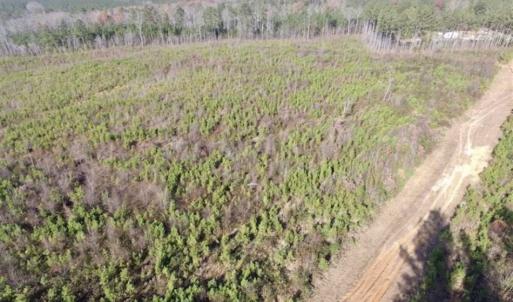 Photo of 114 acres of Recreational and Hunting Land For Sale in Lunenburg County VA!