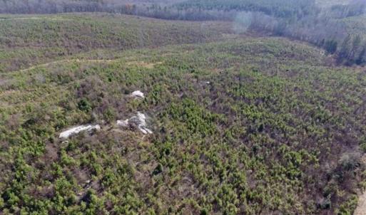 Photo of 114 acres of Recreational and Hunting Land For Sale in Lunenburg County VA!