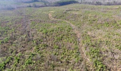 Photo of 114 acres of Recreational and Hunting Land For Sale in Lunenburg County VA!