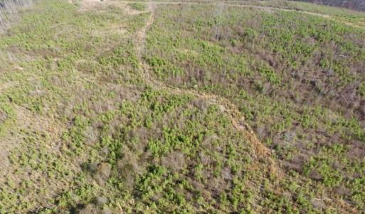 Photo of 114 acres of Recreational and Hunting Land For Sale in Lunenburg County VA!