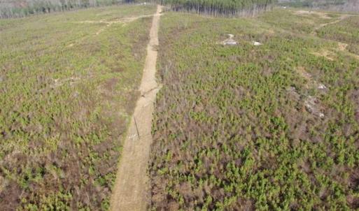 Photo of 114 acres of Recreational and Hunting Land For Sale in Lunenburg County VA!