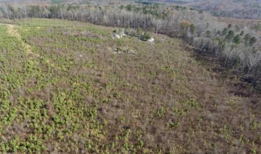 Photo of 114 acres of Recreational and Hunting Land For Sale in Lunenburg County VA!