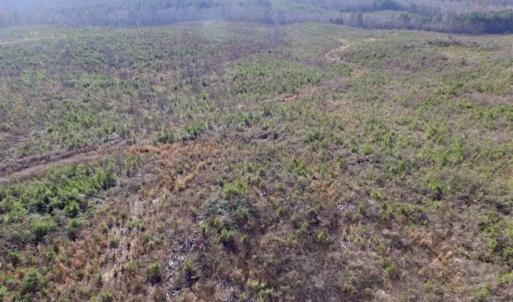 Photo of 114 acres of Recreational and Hunting Land For Sale in Lunenburg County VA!