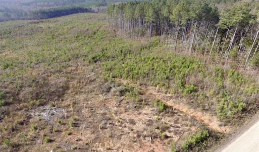 Photo of 114 acres of Recreational and Hunting Land For Sale in Lunenburg County VA!