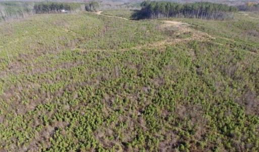 Photo of 114 acres of Recreational and Hunting Land For Sale in Lunenburg County VA!