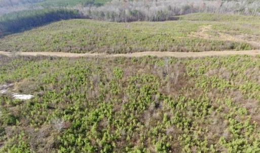 Photo of 114 acres of Recreational and Hunting Land For Sale in Lunenburg County VA!