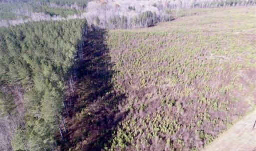 Photo of 114 acres of Recreational and Hunting Land For Sale in Lunenburg County VA!
