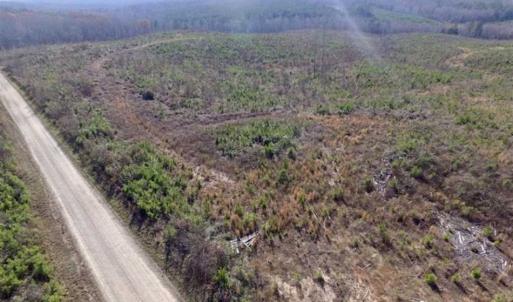 Photo of 114 acres of Recreational and Hunting Land For Sale in Lunenburg County VA!