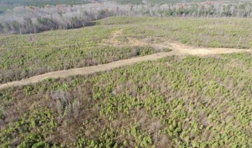 Photo of 114 acres of Recreational and Hunting Land For Sale in Lunenburg County VA!