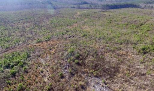 Photo of 114 acres of Recreational and Hunting Land For Sale in Lunenburg County VA!