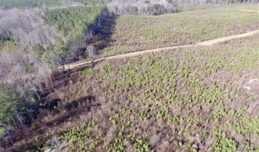 Photo of 114 acres of Recreational and Hunting Land For Sale in Lunenburg County VA!