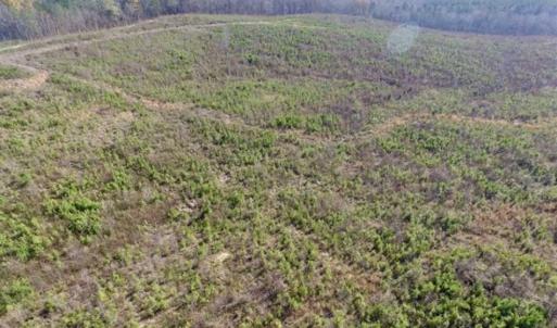 Photo of 114 acres of Recreational and Hunting Land For Sale in Lunenburg County VA!