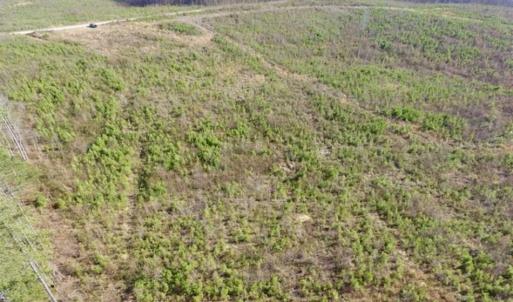 Photo of 114 acres of Recreational and Hunting Land For Sale in Lunenburg County VA!