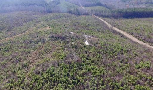 Photo of 114 acres of Recreational and Hunting Land For Sale in Lunenburg County VA!