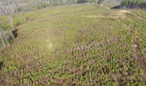 Photo of 114 acres of Recreational and Hunting Land For Sale in Lunenburg County VA!