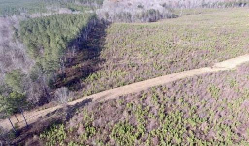 Photo of 114 acres of Recreational and Hunting Land For Sale in Lunenburg County VA!
