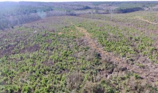 Photo of 114 acres of Recreational and Hunting Land For Sale in Lunenburg County VA!