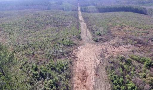 Photo of 114 acres of Recreational and Hunting Land For Sale in Lunenburg County VA!