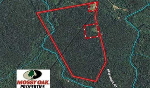 Photo of 114 acres of Recreational and Hunting Land For Sale in Lunenburg County VA!