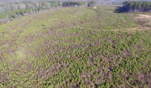 Photo of 114 acres of Recreational and Hunting Land For Sale in Lunenburg County VA!