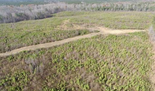 Photo of 114 acres of Recreational and Hunting Land For Sale in Lunenburg County VA!