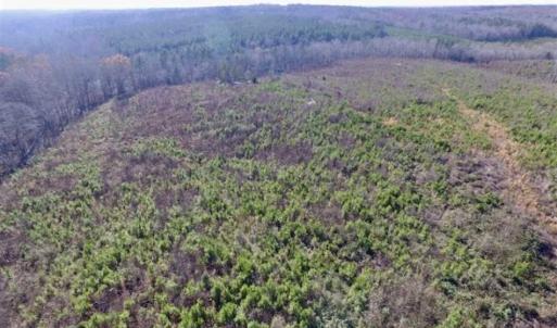 Photo of 114 acres of Recreational and Hunting Land For Sale in Lunenburg County VA!